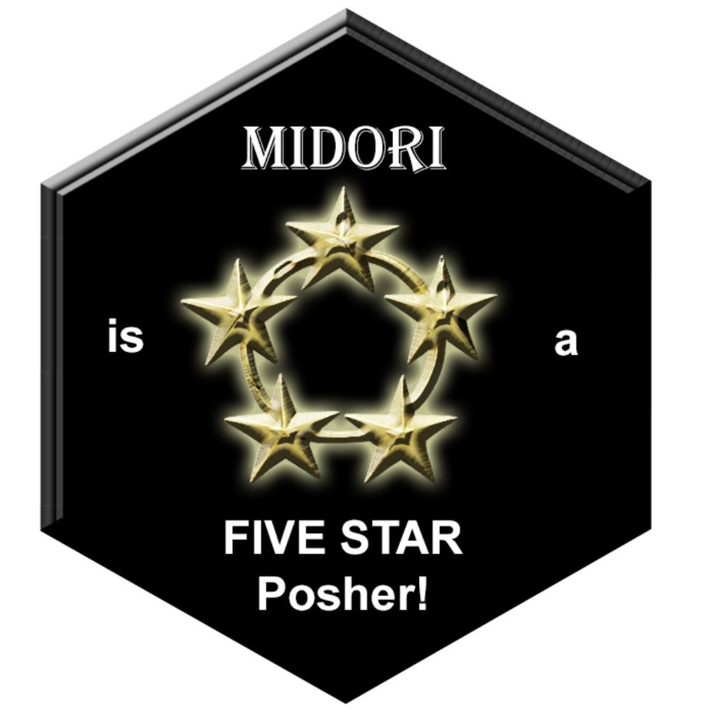 Meet your Poshers, Ken & Midori!